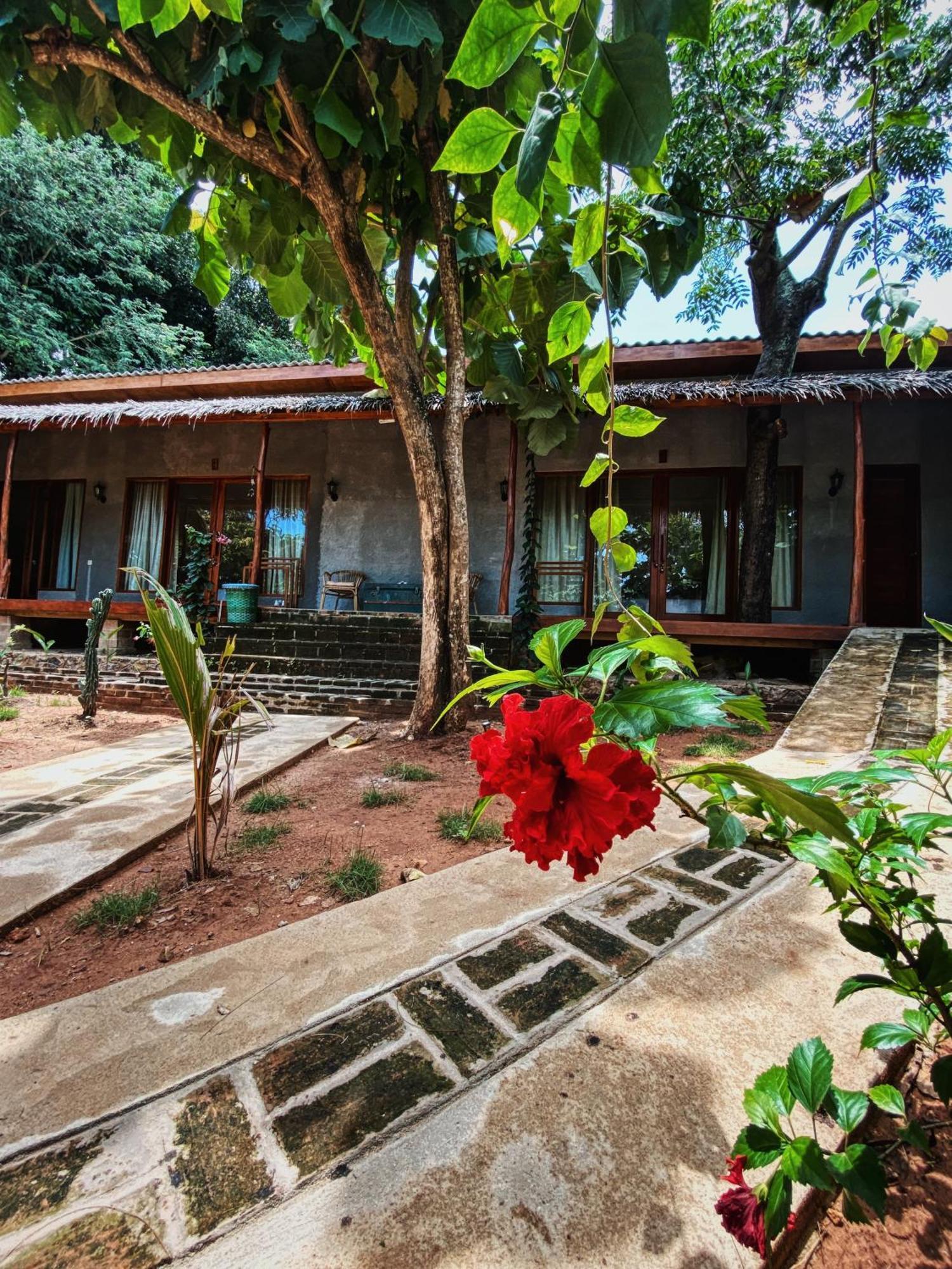 Basa-Basi Lodge Karimunjawa Eksteriør billede