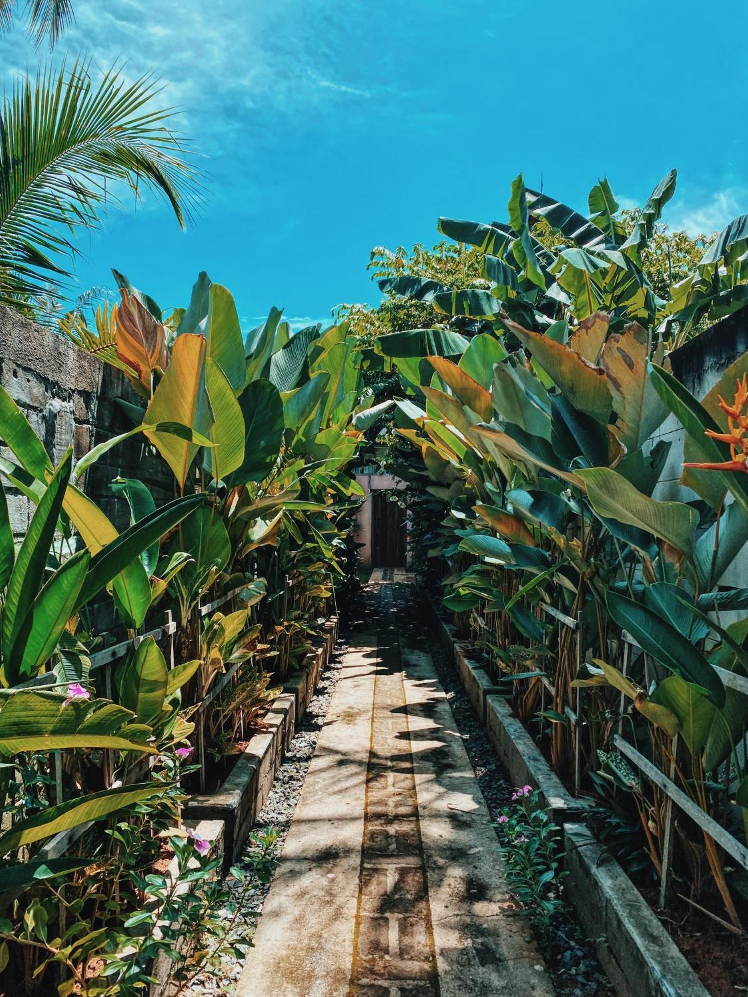 Basa-Basi Lodge Karimunjawa Eksteriør billede